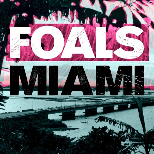 Miami封面