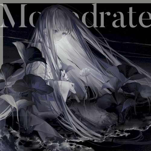 Monodrate封面