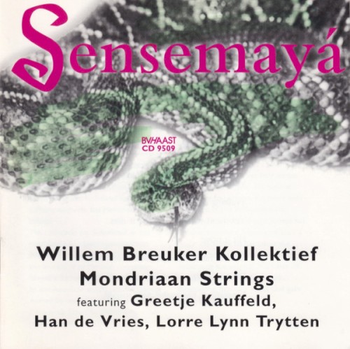Sensemayá封面
