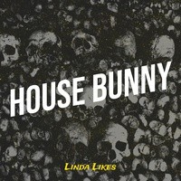 House Bunny封面