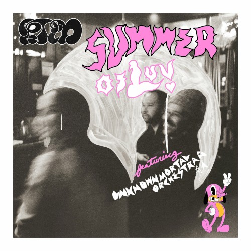 Summer of Luv封面