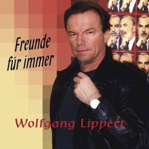 Freunde für immer封面