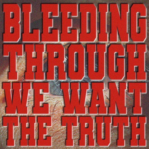 We Want the Truth封面