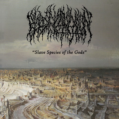 Slave Species of the Gods封面