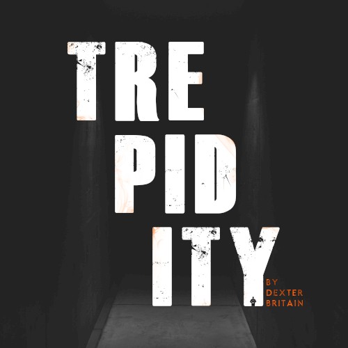 Trepidity封面