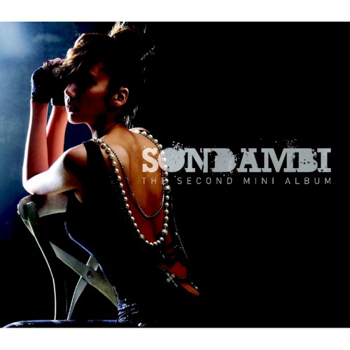 The Second Mini Album封面