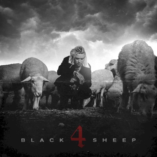 Black Sheep 4封面