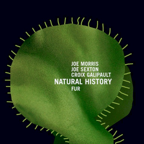 Natural History封面