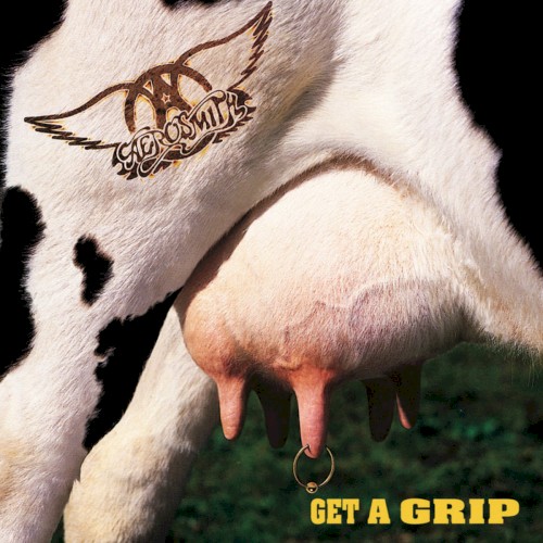 Get a Grip封面