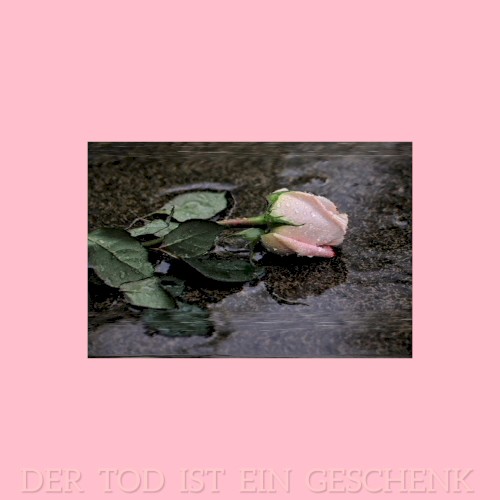 Der Tod ist ein Geschenk封面