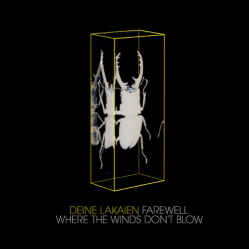 Farewell / Where the Winds Don’t Blow封面