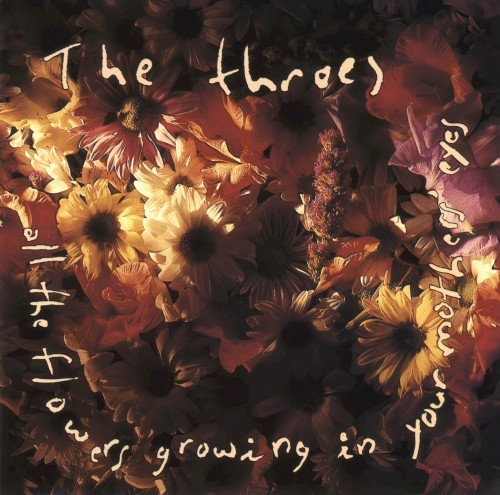 All the Flowers Growing in Your Mother's Eyes封面