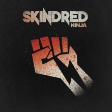 Ninja封面
