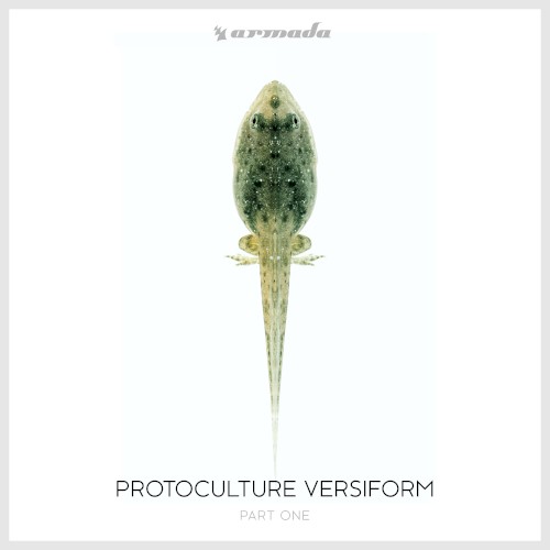 Versiform Part One封面