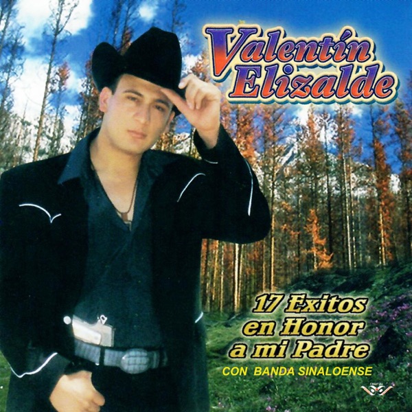 17 éxitos en honor a mi padre封面