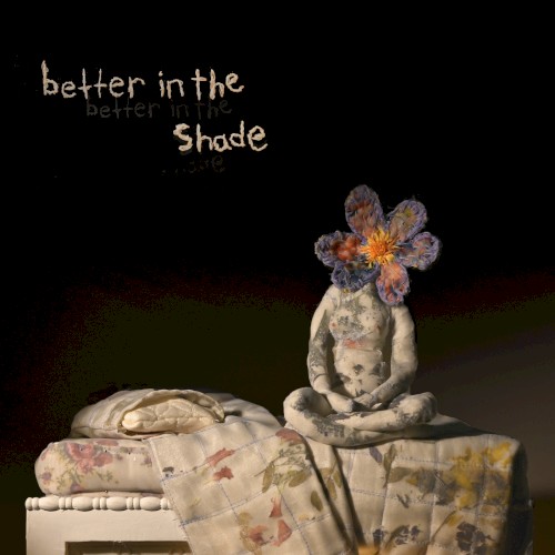 Better in the Shade封面
