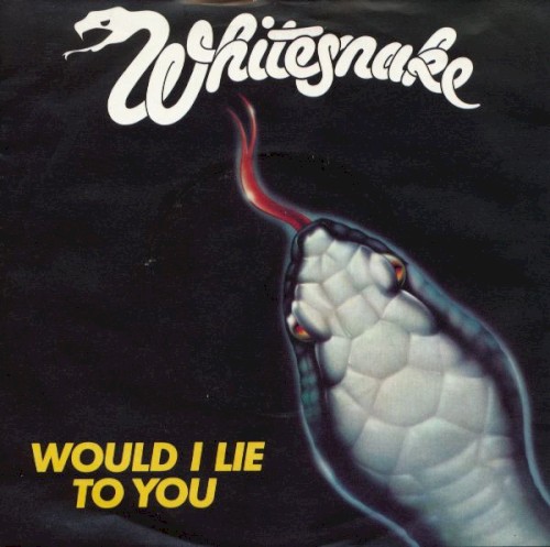 Would I Lie to You封面