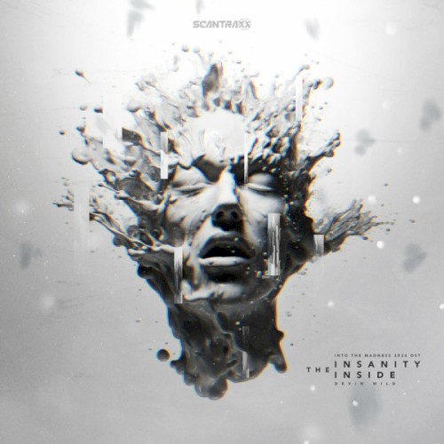 The Insanity Inside (Into The Madness 2024 OST)封面