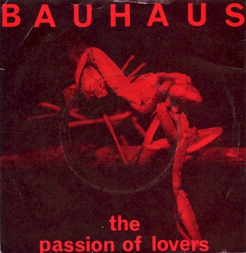 The Passion of Lovers封面