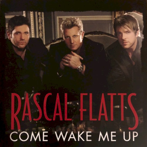 Come Wake Me Up封面