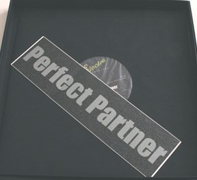 Perfect Partner封面