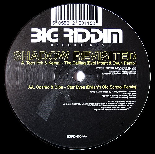 Shadow Revisited封面