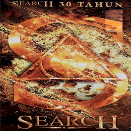 Search 30 Tahun封面