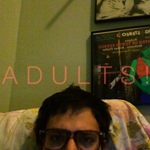 Adults!!!: Smart!!! Shithammered!!! And Excited By Nothing!!!!!!!封面