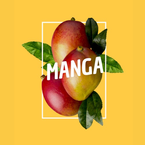 Manga封面