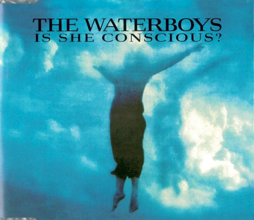 Is She Conscious?封面