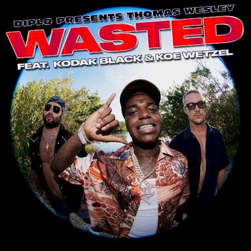 Wasted封面