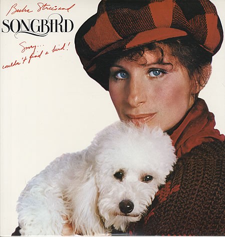 Songbird封面