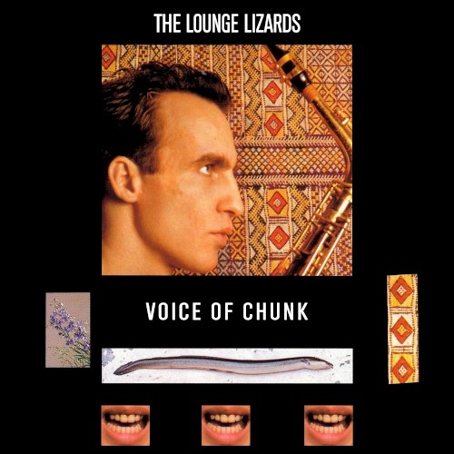 Voice of Chunk封面