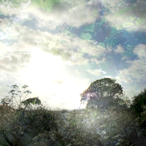 Spring Light封面