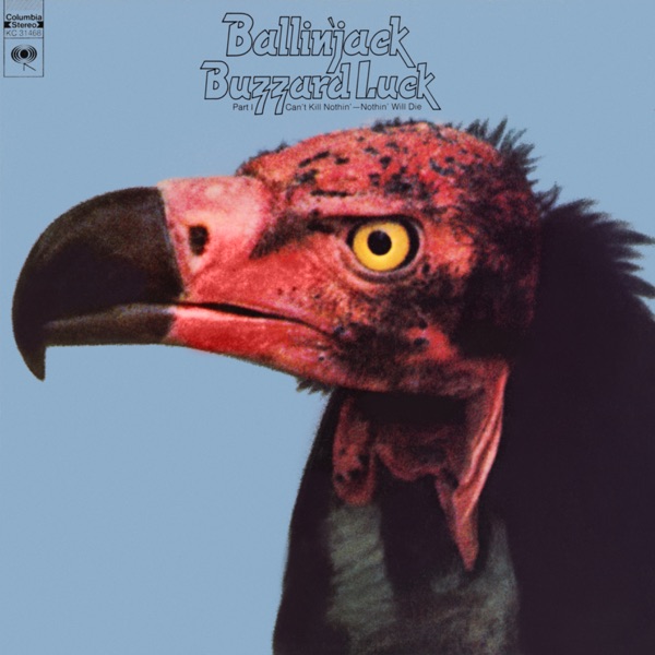 Buzzard Luck封面