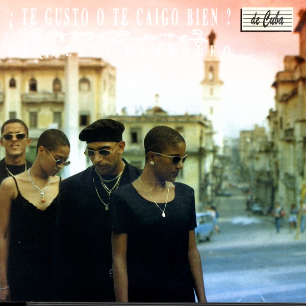 ¿Te gusto o te caigo bien?封面