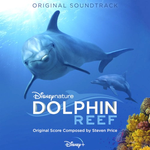 Dolphin Reef封面