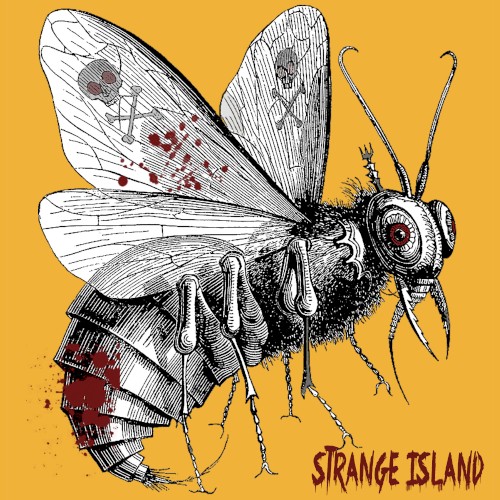 Strange Island封面
