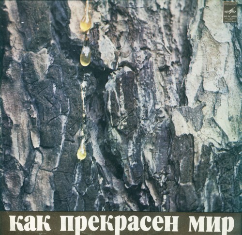 Как прекрасен мир封面
