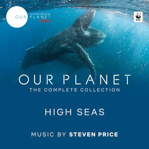 High Seas (Our Planet, Episode 6)封面
