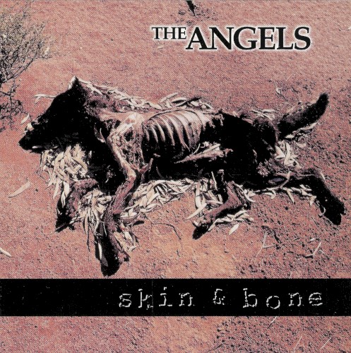 Skin & Bone封面