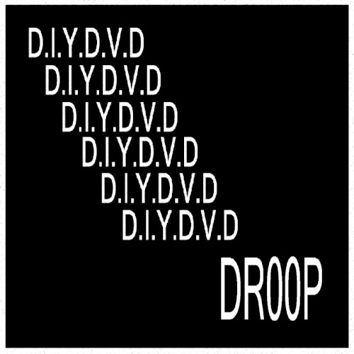 D.I.Y.D.V.D.封面