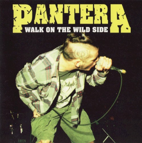Walk On The Wild Side封面