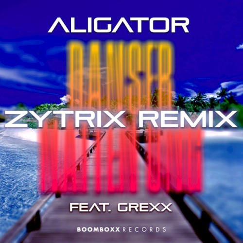 Danser Natten Ung (Zytrix Remix)封面