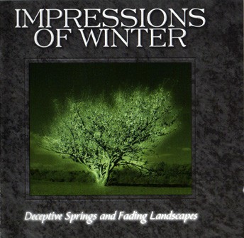Deceptive Springs and Fading Landscapes封面