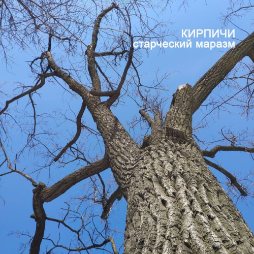 Старческий маразм封面