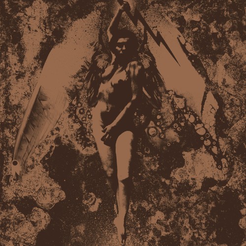 Converge / Napalm Death封面