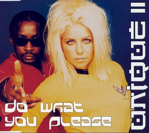 Do What You Please封面