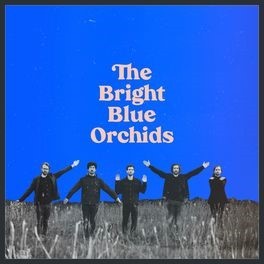 The Bright Blue Orchids封面