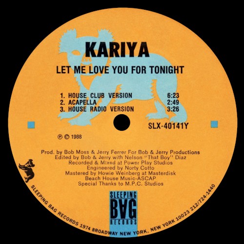 Let Me Love You for Tonight封面